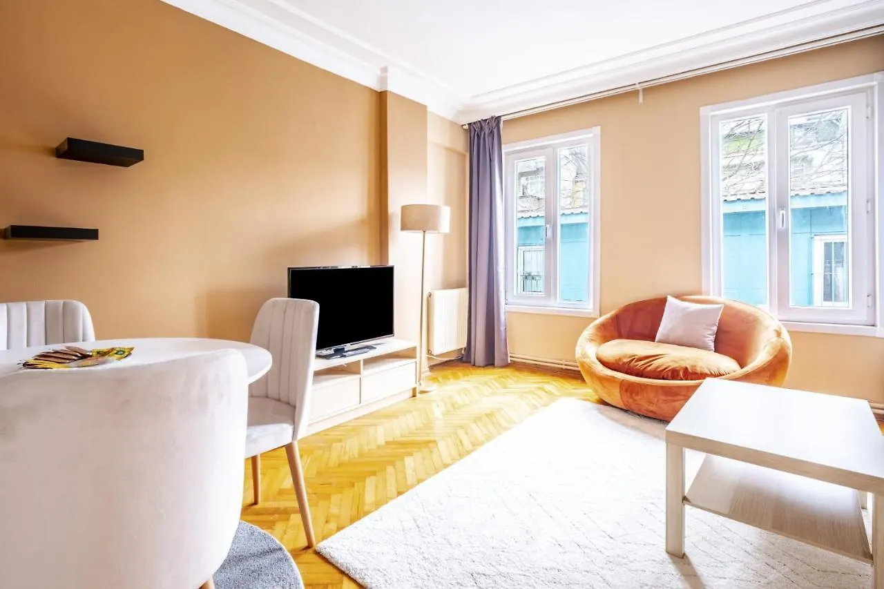 Flat With Bridge View 200 M To Ortakoy Shore Apartment Istanbul Turkey
